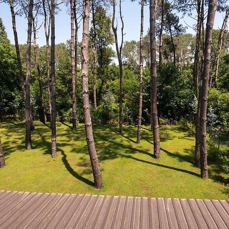 Buxus Hotel Shekvetili Exterior foto