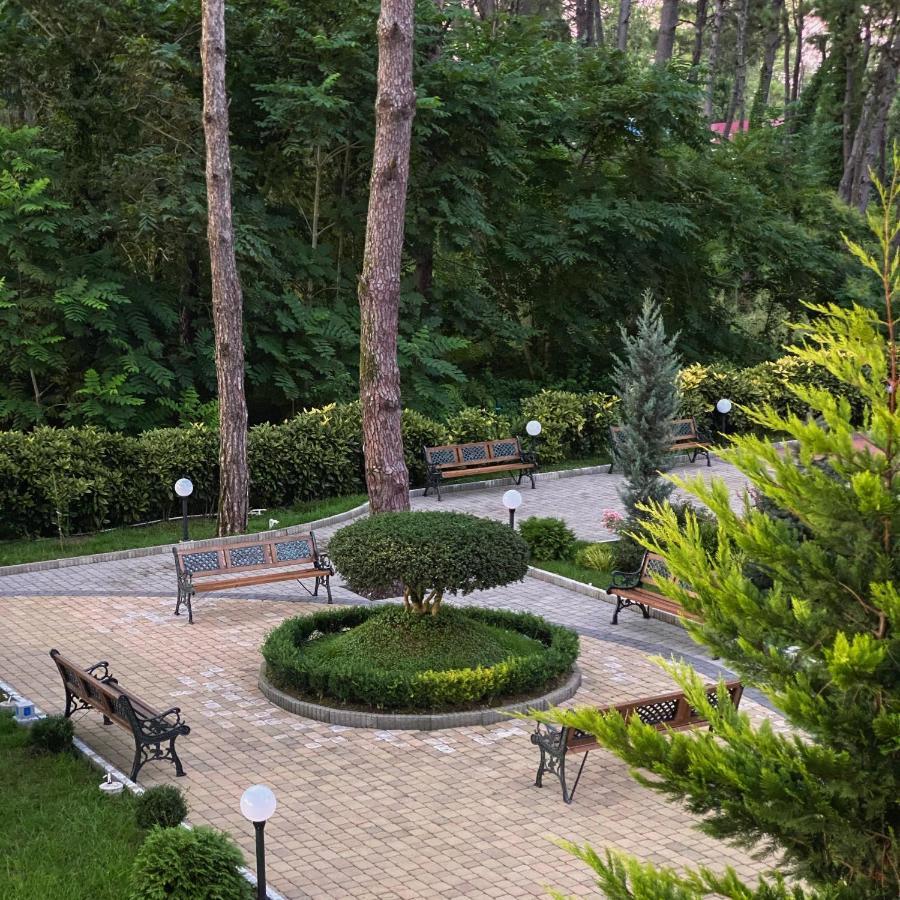 Buxus Hotel Shekvetili Exterior foto